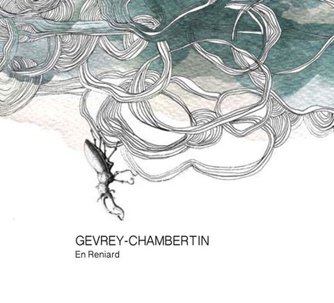 Gevrey-Chambertin En Reniard 2022