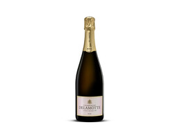 Champagne Rose - Delamotte