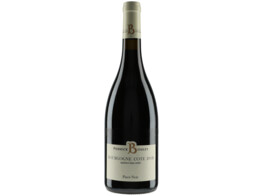 Bourgogne Cote d Or Rouge 2023 - Pierrick Bouley